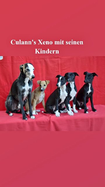 Xeno mit seinen Kindern